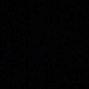 Meet your Posher, Frankie